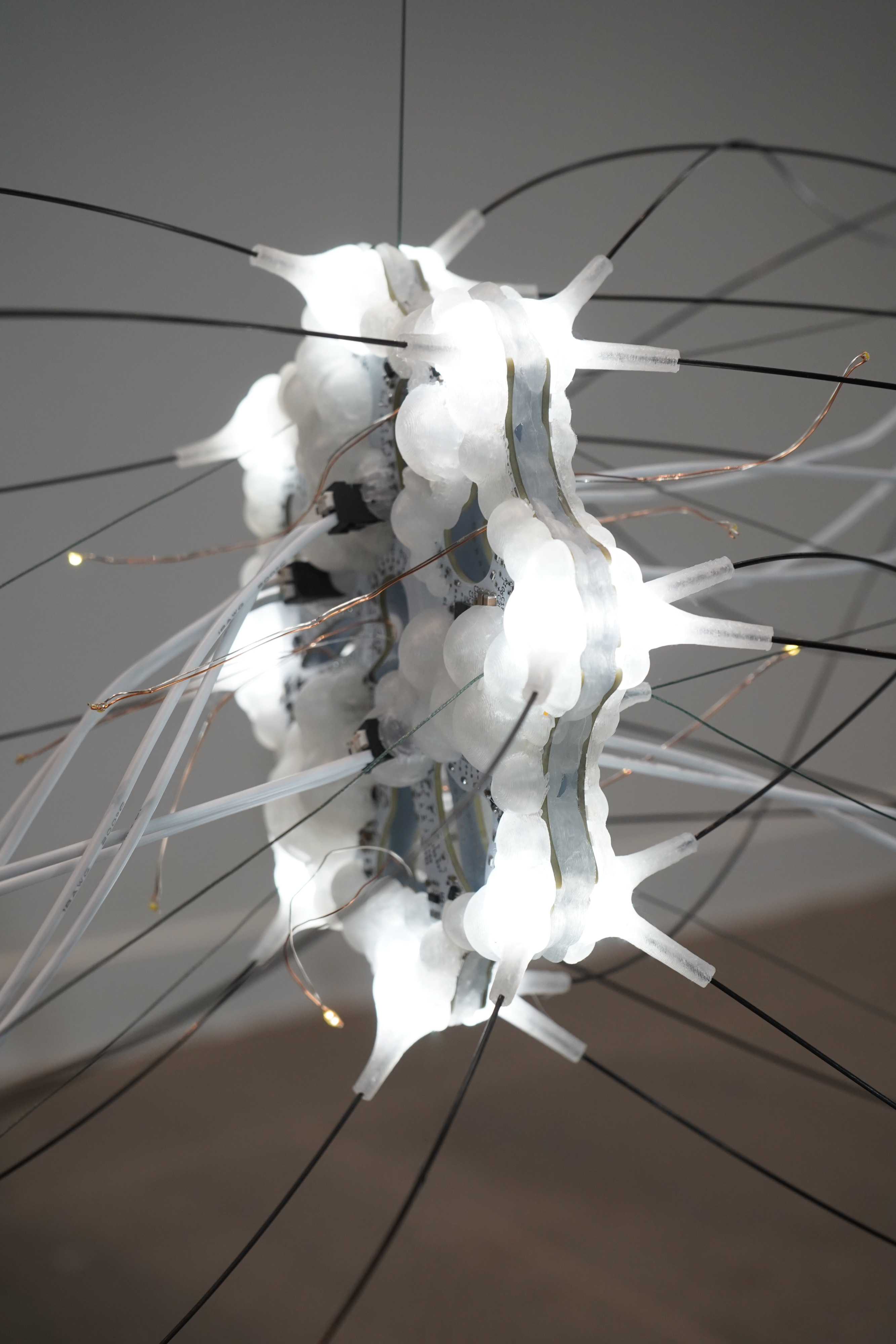 hiastolysis_node1